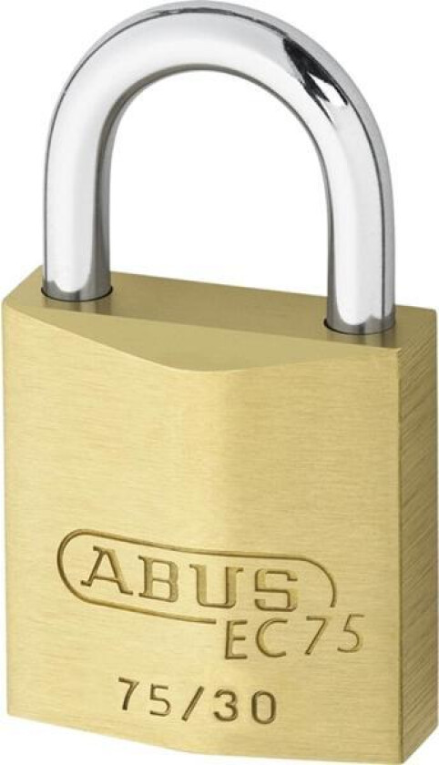 Hengelås abus 75-30