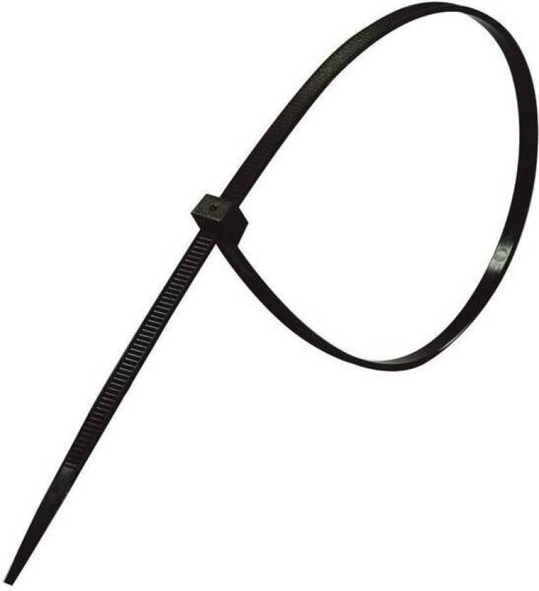 Buntebånd/100 svart 100x2,5mm