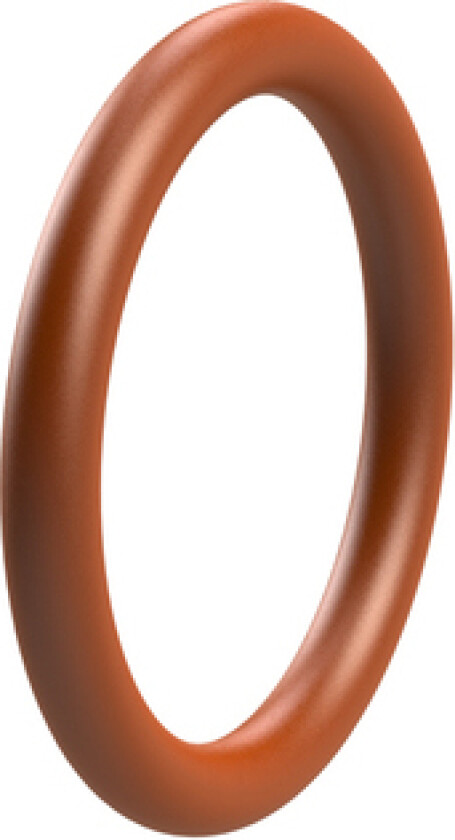 O-ring 21,95 x 1,78 sil 70