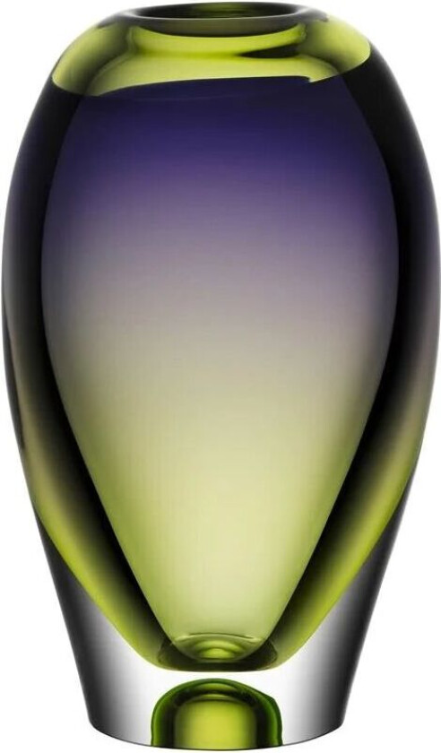 Vision vase 255 mm Lilla-grønn