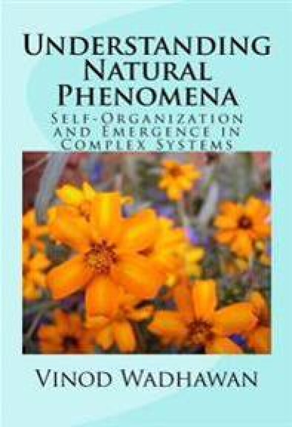 Understanding Natural Phenomena: Self-Organization and Emergence in Complex Systems