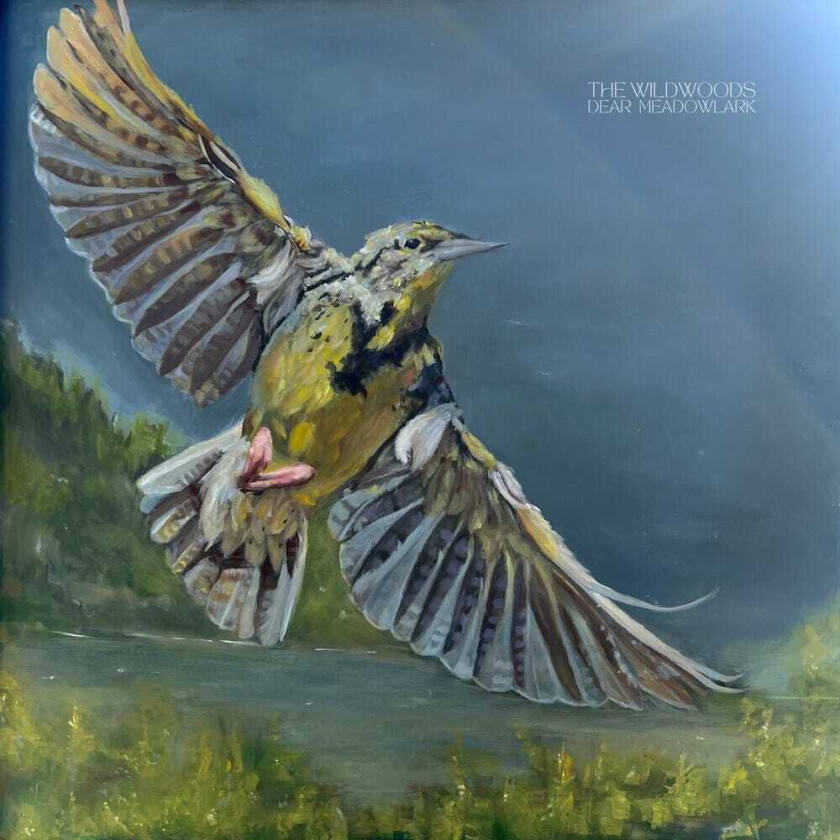 The Wildwoods Dear Meadowlark CD