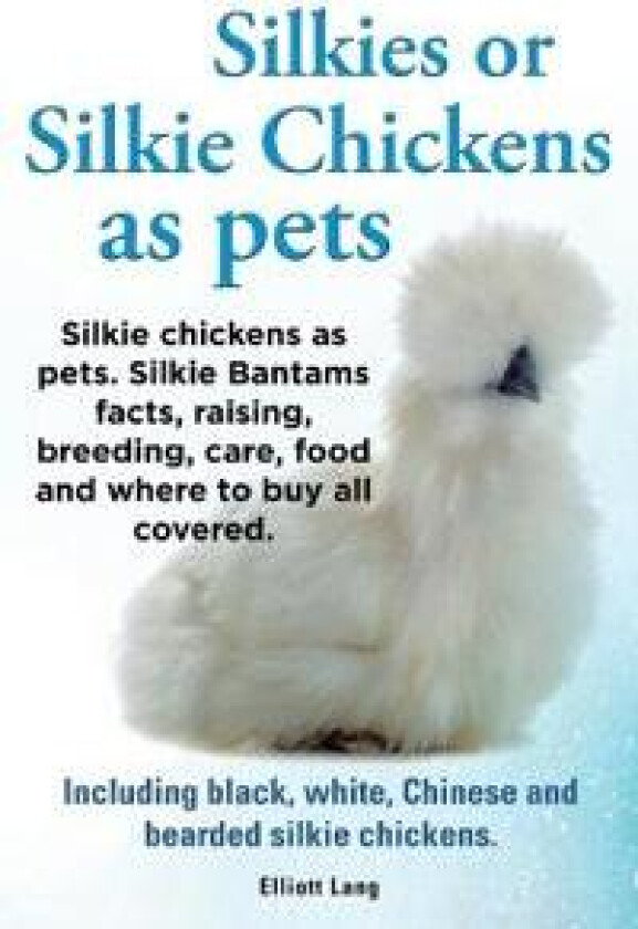 Silkies or Silkie Chickens as Pets. Silkie Bantams Facts, Raising, Breeding, Care, Food and Where to Buy All Covered. Including Black, White, Chinese