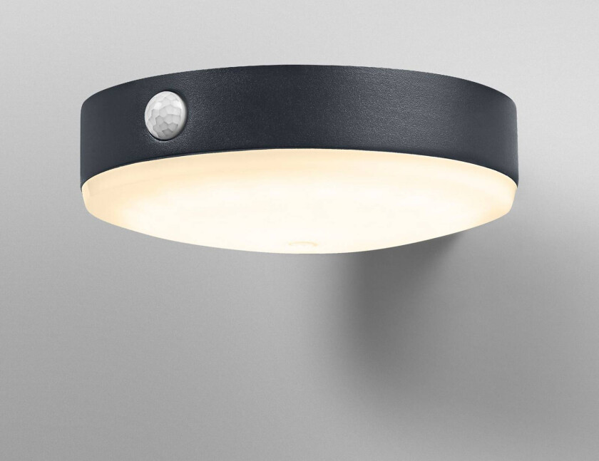 OSRAM LED-sensor-vegglampe ENDURA STYLE TOSSA Solar 16 cm 830