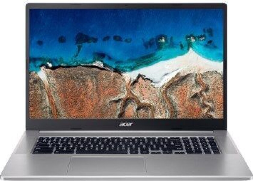 Chromebook 317 (NX.AQ1ED.002)