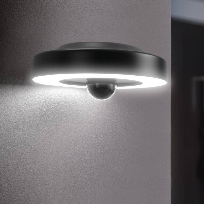 OSRAM SMART+ Wifi LED-utendørskamera CIRCLE, grafitt Sensor IP44