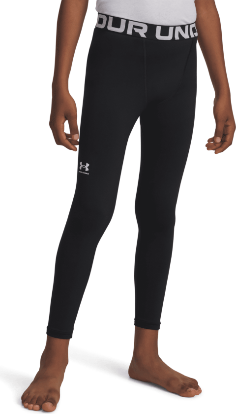 Bilde av Under Armour ColdGear® Armour Leggings, treningstights, barn BLACK