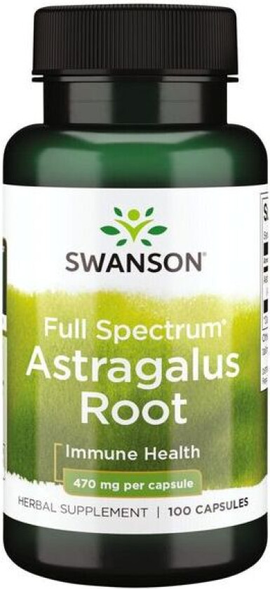 Astragalus Root - 100 kapsler