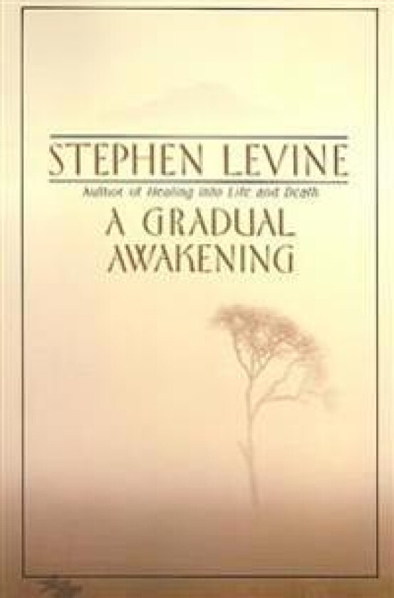 Gradual Awakening, A