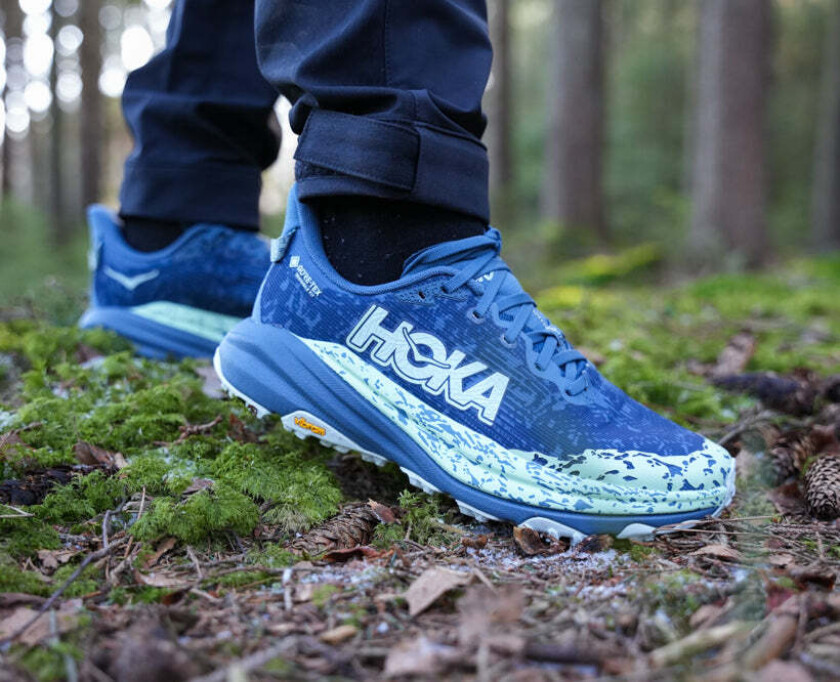 Speedgoat 6 GTX Dame Thunder Cloud/Mint Fluorite 36