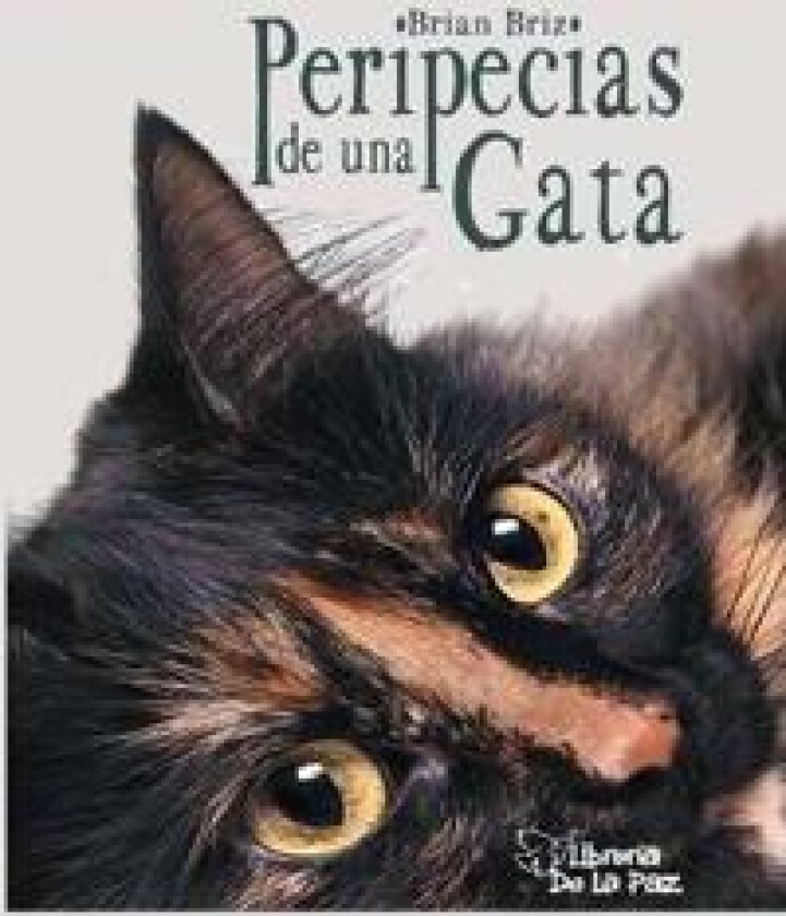 Peripecias de Una Gata