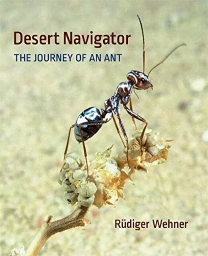 Desert Navigator av Rudiger Wehner
