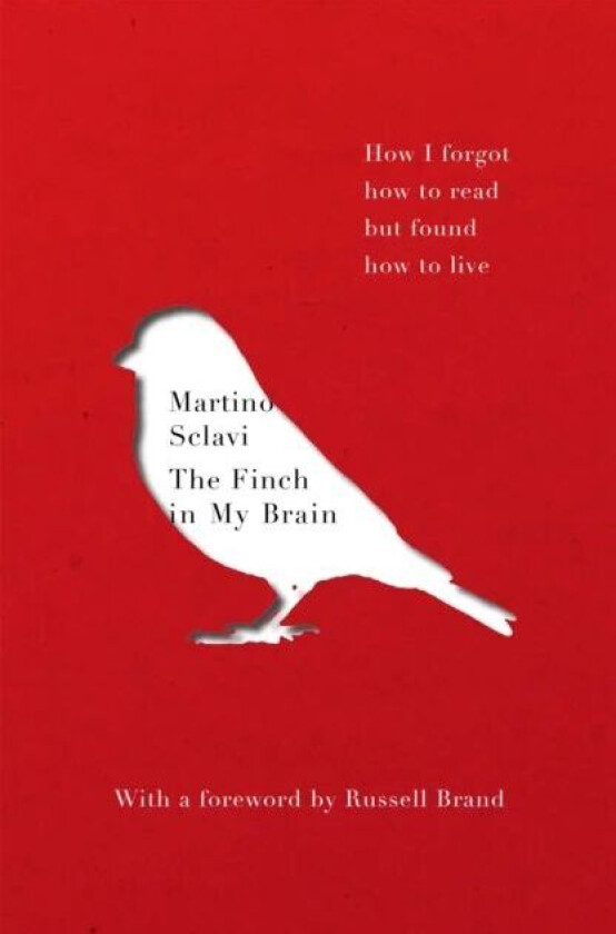 The Finch in My Brain av Martino Sclavi