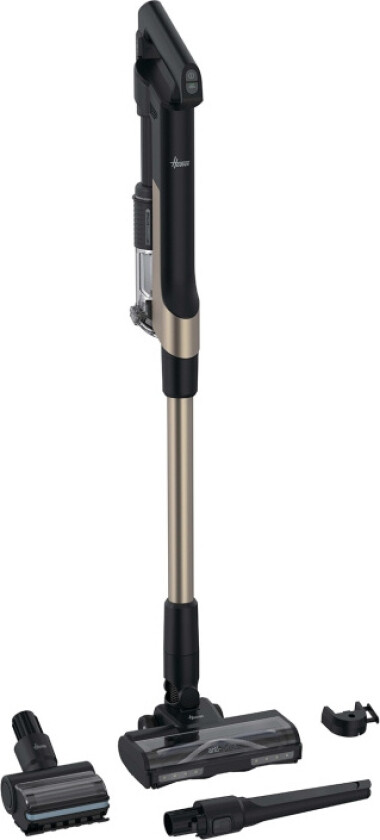 Skaftdammsugare Pet All Floor 165W