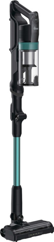 Skaftdammsugare Plus Pet Flexi 165W