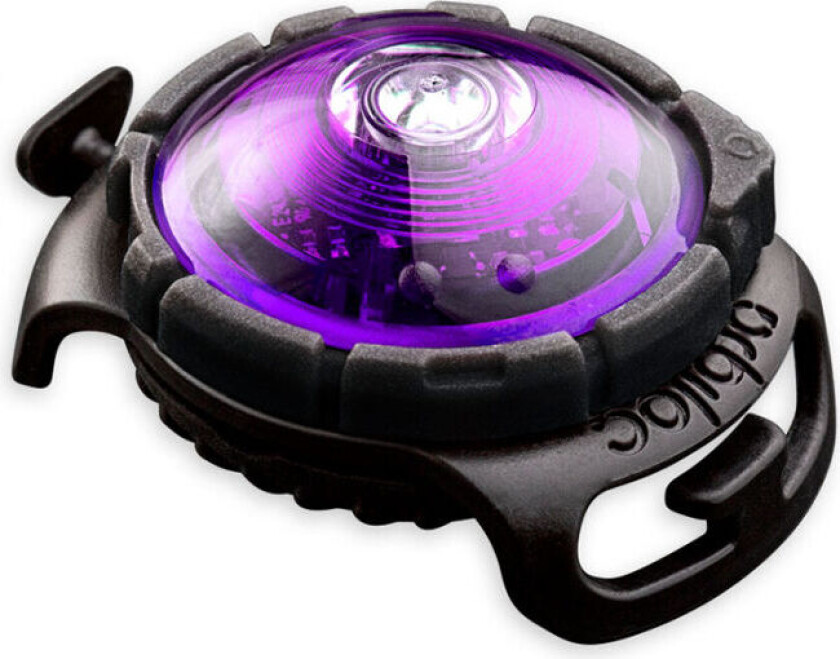 Dual LED Safety Light Lilla