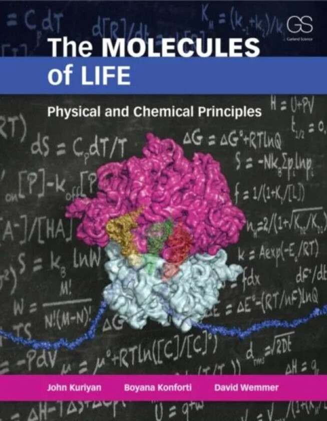The Molecules of Life av John Kuriyan, Boyana Konforti, David Wemmer