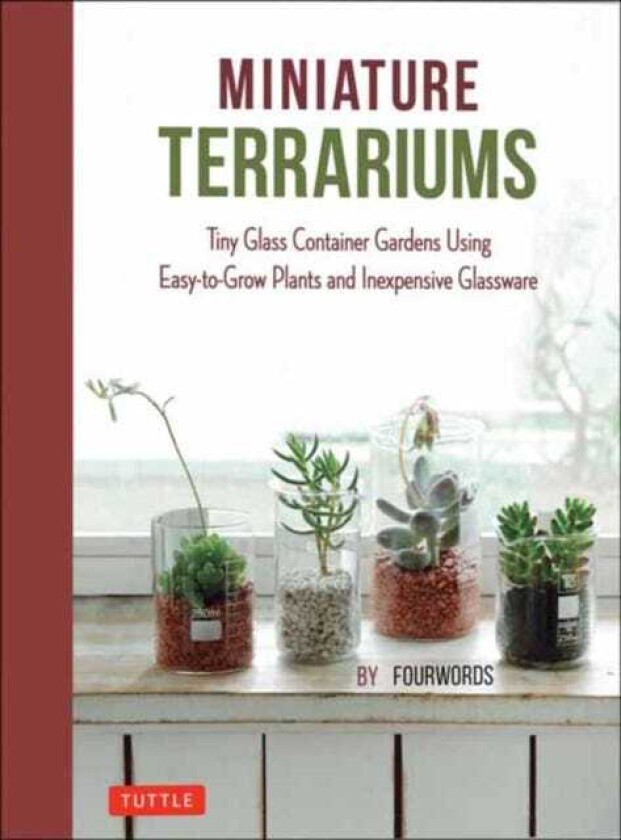 Miniature Terrariums Tiny Glass Container Gardens Using EasytoGrow Plants and Inexpensive Glassware