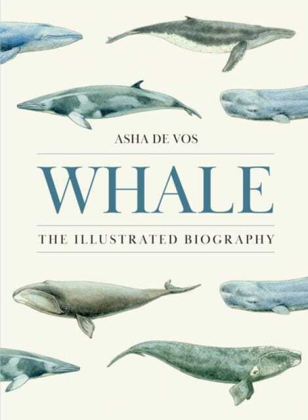 Whale The Illustrated Biography