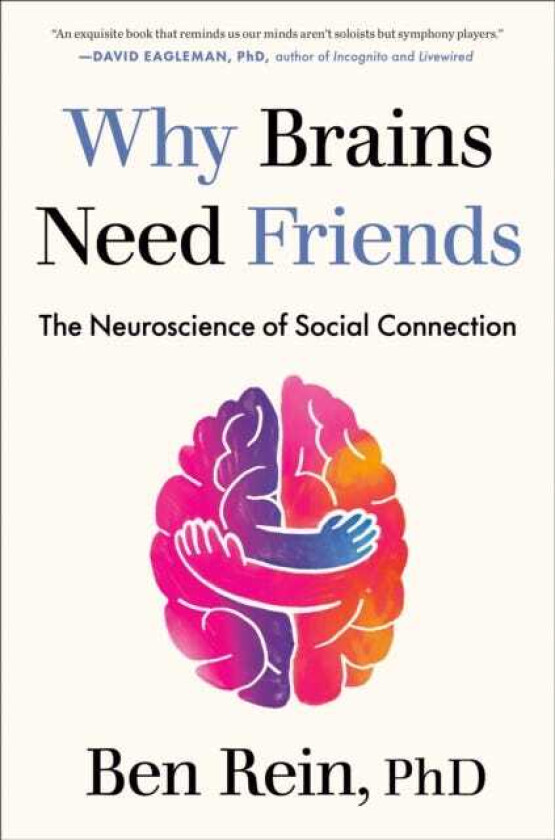 Why Brains Need Friends  The Neuroscience of Social Connection