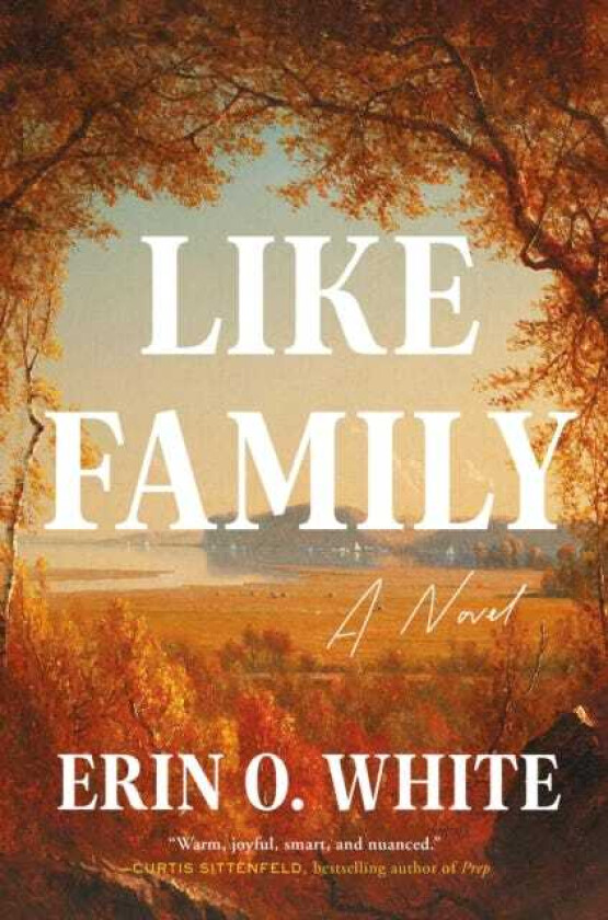 Like Family A Novel