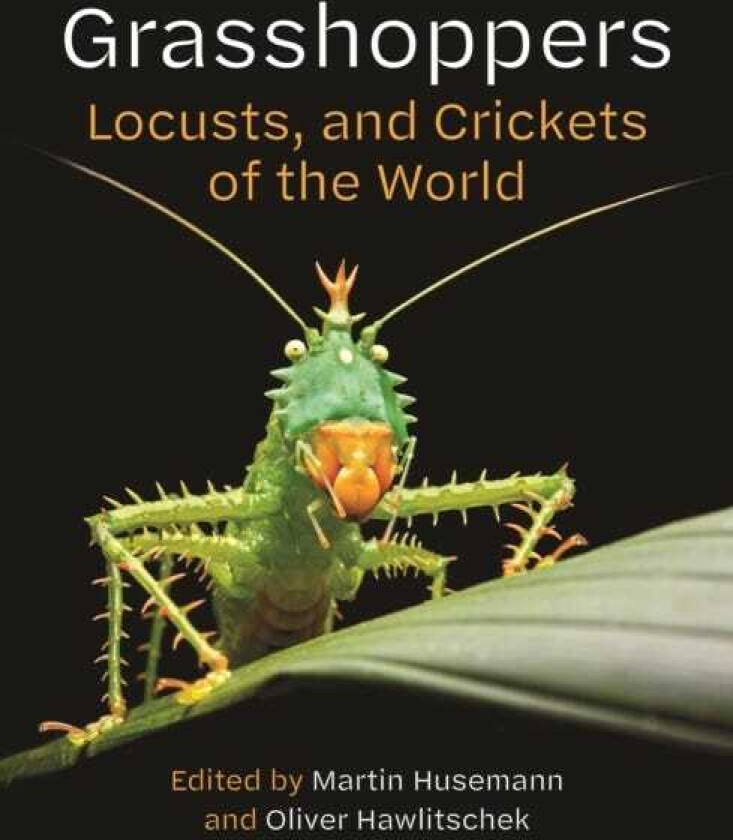 Grasshoppers, Locusts, and Crickets of the World