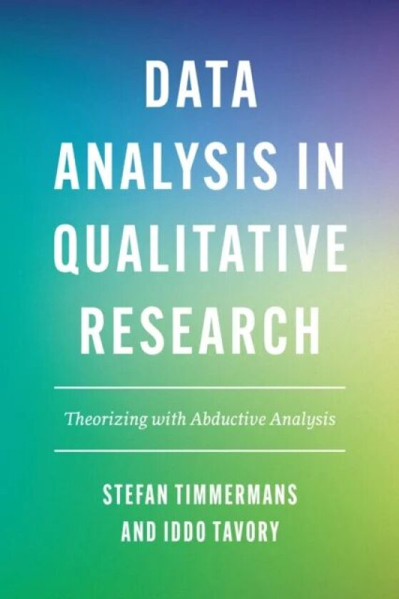 Data Analysis in Qualitative Research av Stefan Timmermans, Iddo Tavory