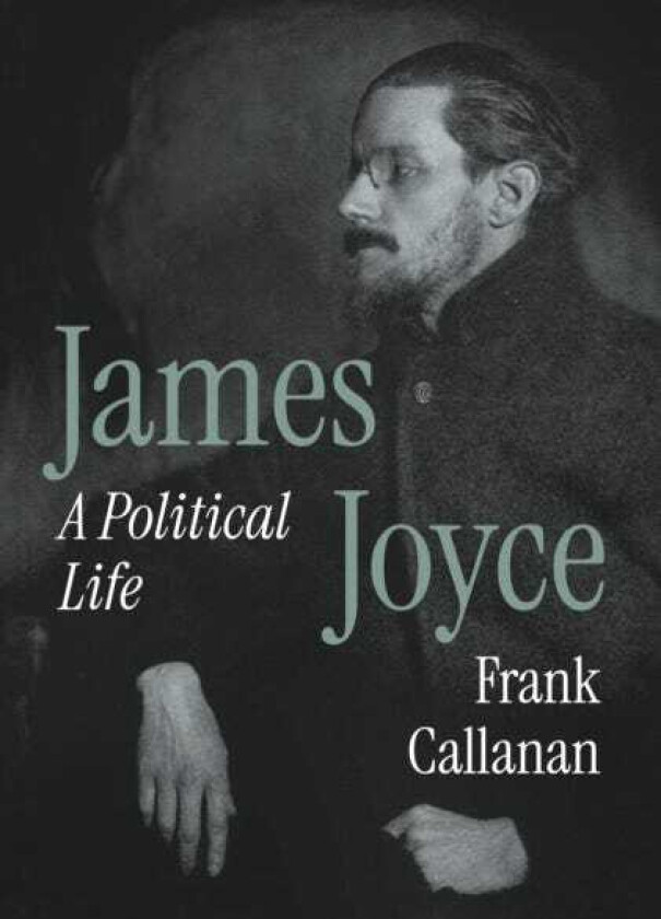 James Joyce A Political Life