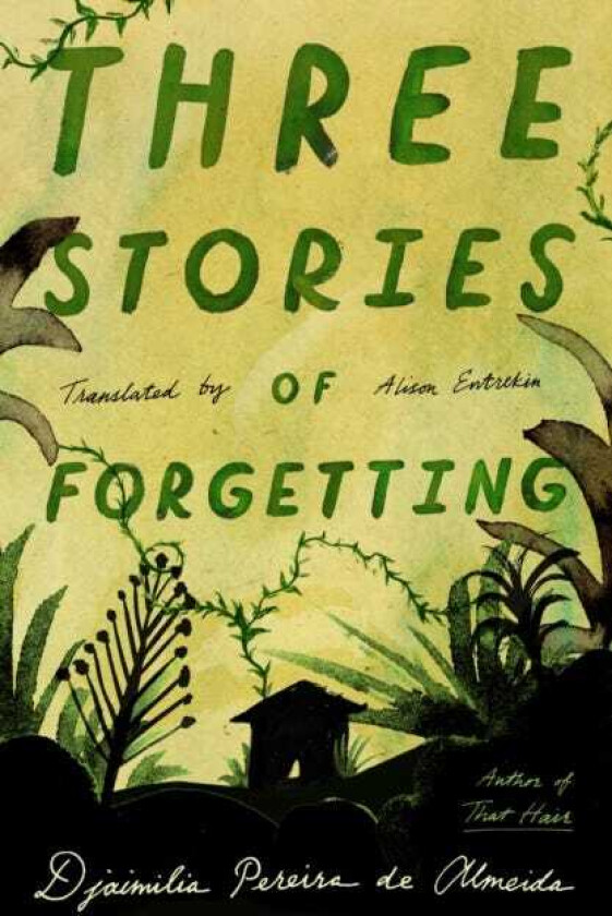 Three Stories of Forgetting