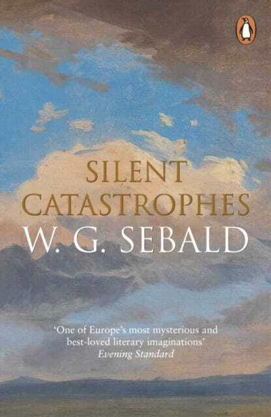 Silent Catastrophes Essays in Austrian Literature