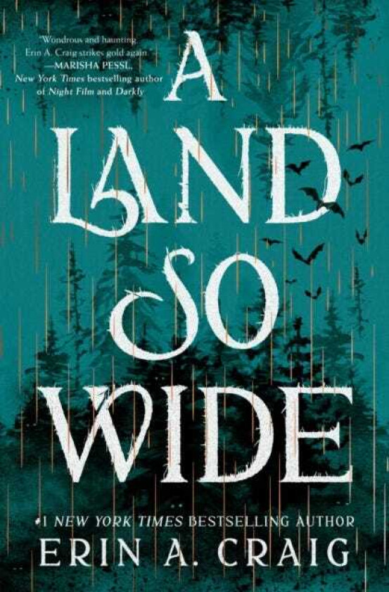 A Land So Wide A Novel