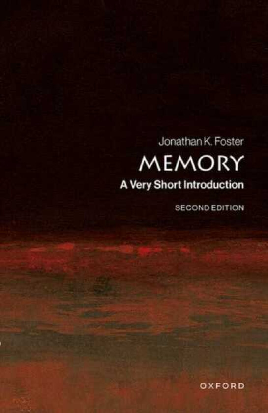 Memory A Very Short Introduction