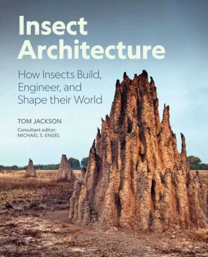 Insect Architecture How Insects Build, Engineer, and Shape Their World