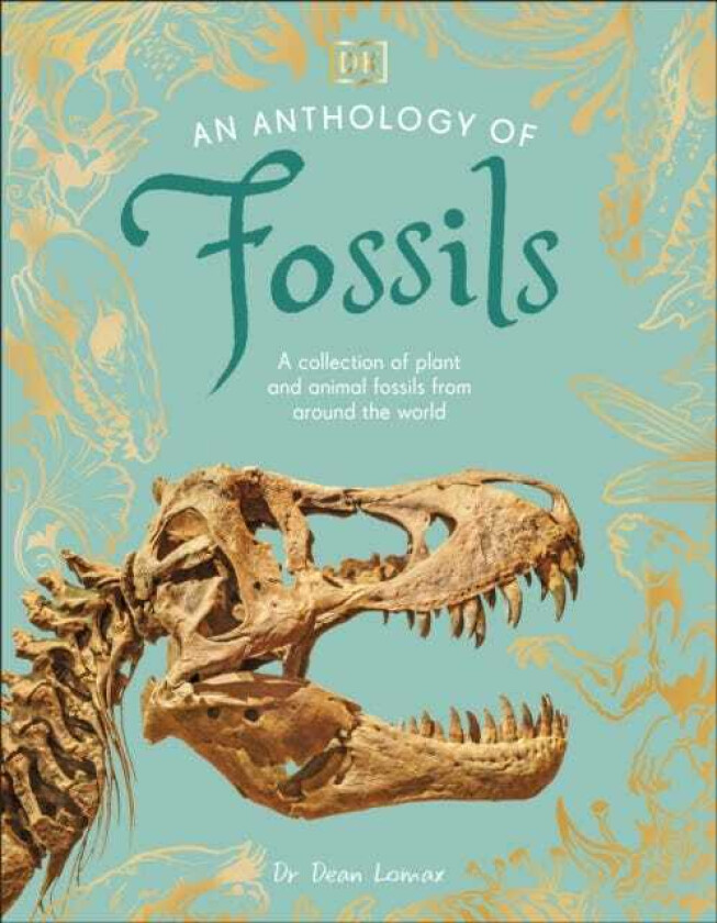An Anthology of Fossils A Collection of Plant and Animal Fossils From Around the World