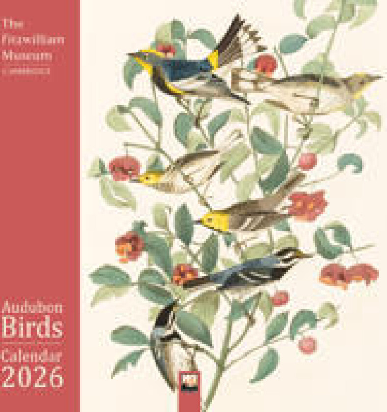 Fitzwilliam Museum: Audubon Birds Wall Calendar 2026 (Art Calendar)