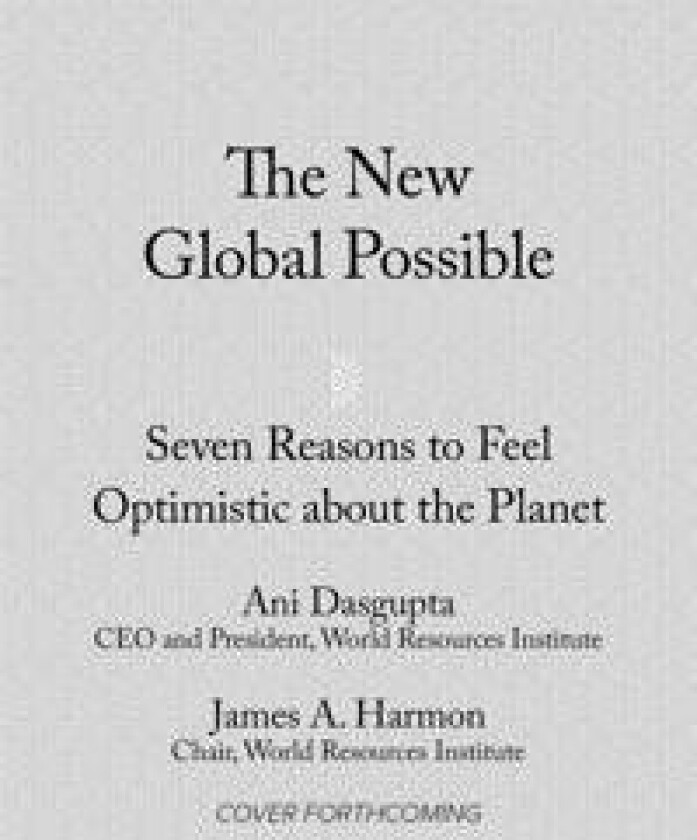 The New Global Possible