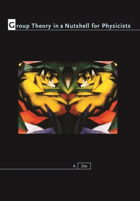 Group Theory in a Nutshell for Physicists av Anthony Zee