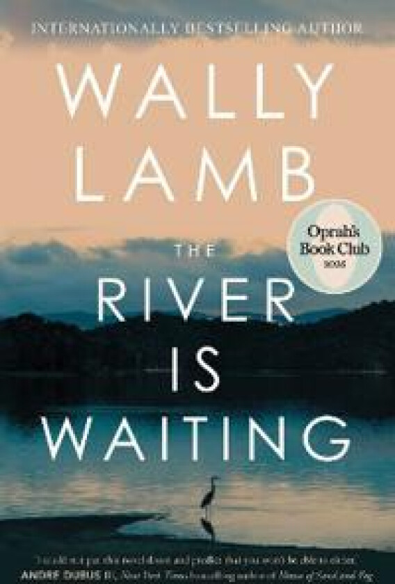 The River Is Waiting (Oprah's Book Club)