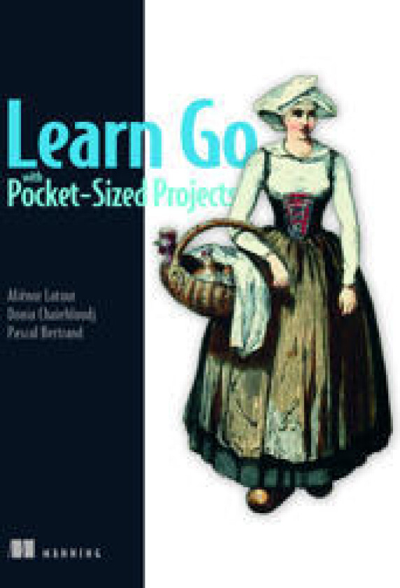 Learn Go with Pocket-Sized Projects