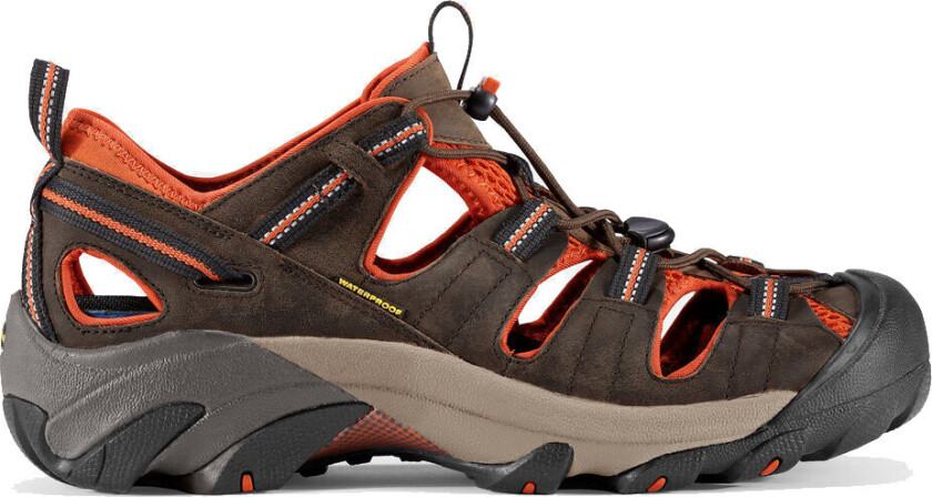 Men's Arroyo II Black Olive/Bombay Brown