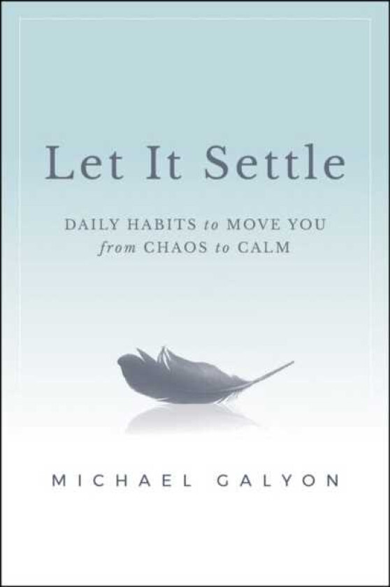 Let It Settle Daily Habits to Move You From Chaos to Calm