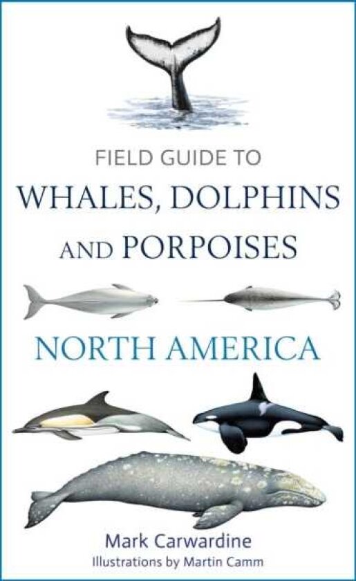 Field Guide to Whales, Dolphins and Porpoises of North America