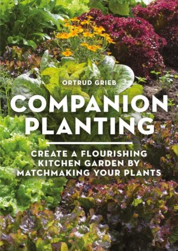 Companion Planting Create a Flourishing Kitchen Garden By Matchmaking Your Plants