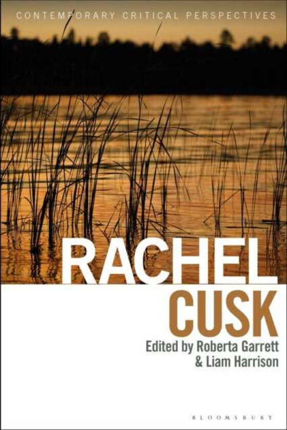 Rachel Cusk Contemporary Critical Perspectives