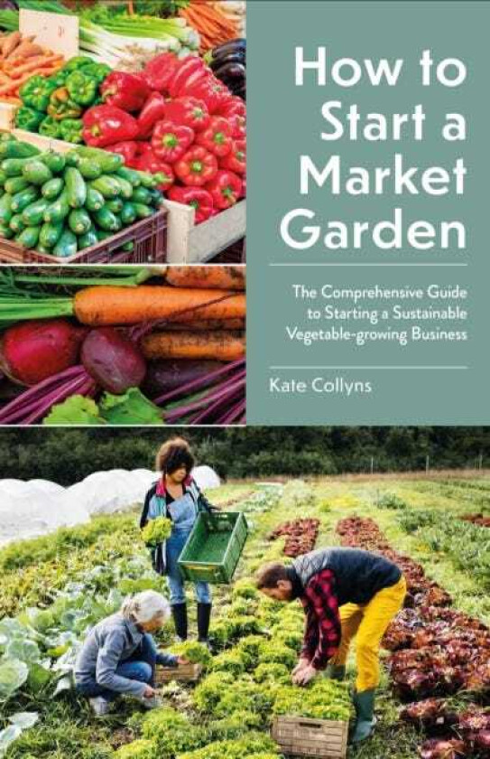 How to Start a Market Garden The Comprehensive Guide to Starting a Sustainable Vegetablegrowing Business