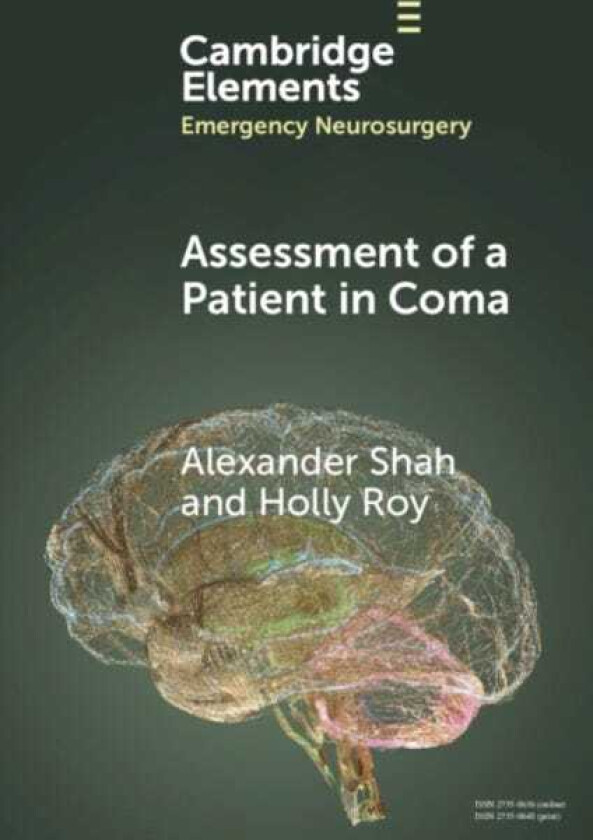 Assessment of a Patient in Coma