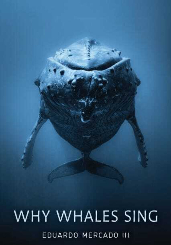 Why Whales Sing