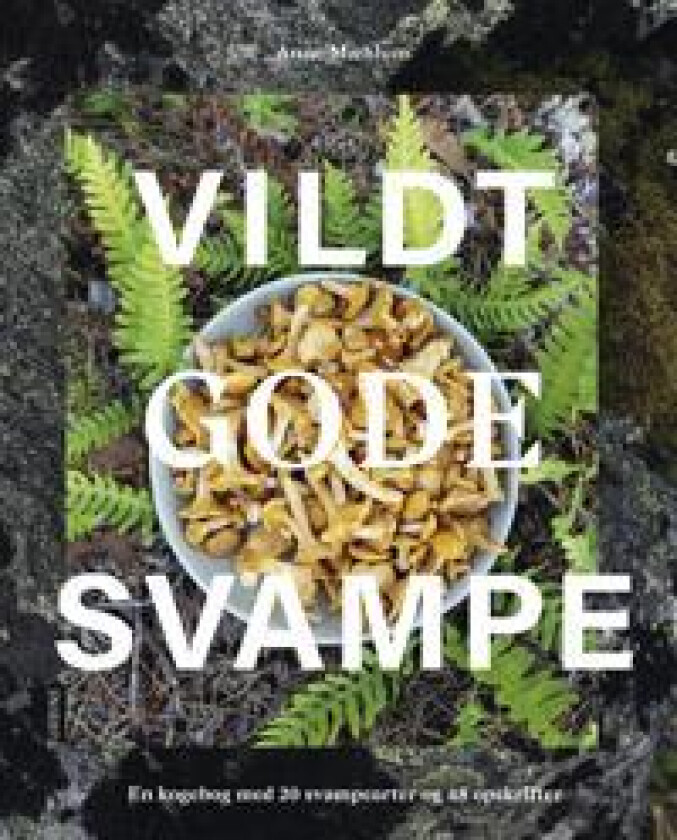 Vildt gode svampe