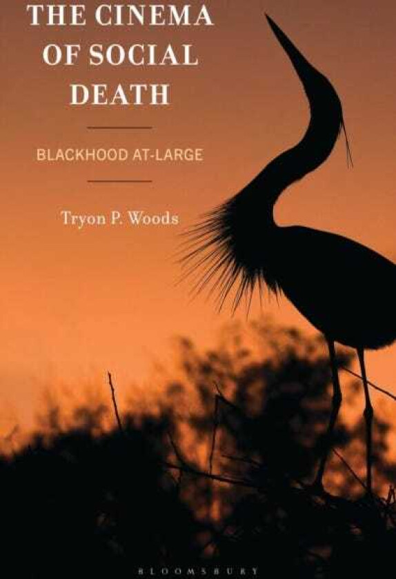 The Cinema of Social Death Blackhood AtLarge