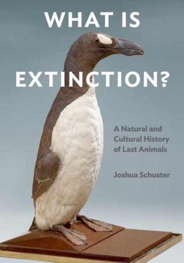 What Is Extinction? A Natural and Cultural History of Last Animals